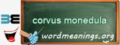 WordMeaning blackboard for corvus monedula